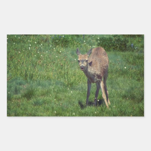 Das Gesicht Rechteckiger Aufkleber (Vorderseite)