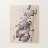 Das Gespräch in einem Vogel-Puzzle Puzzle (Vertikal)