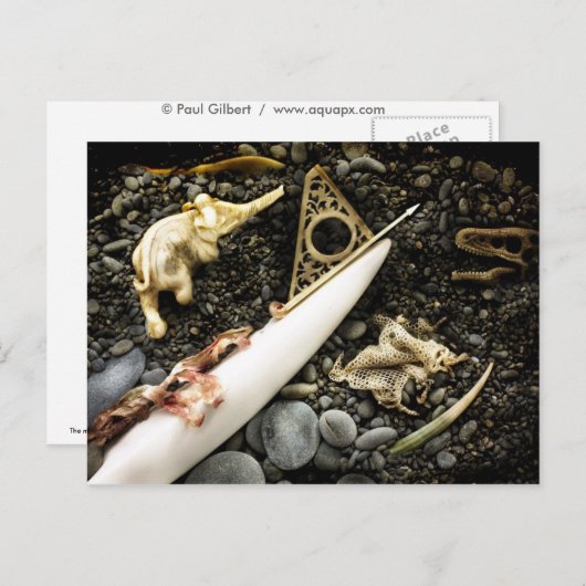 Das Getöse Postkarte (Vorne/Hinten)