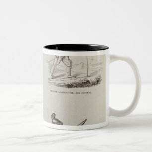 Das Gewehr und seine Entwicklung Zweifarbige Tasse