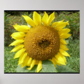 DAS GIANT SUNFLOWER-Poster Poster (Vorne)