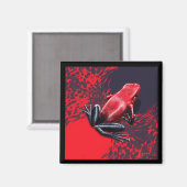 Das Gift Magnet Pumilio (Vorderseite/Rückseite)