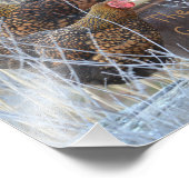 Das Girls-Hühnchen-Foto drucken Fotodruck (Ecke)