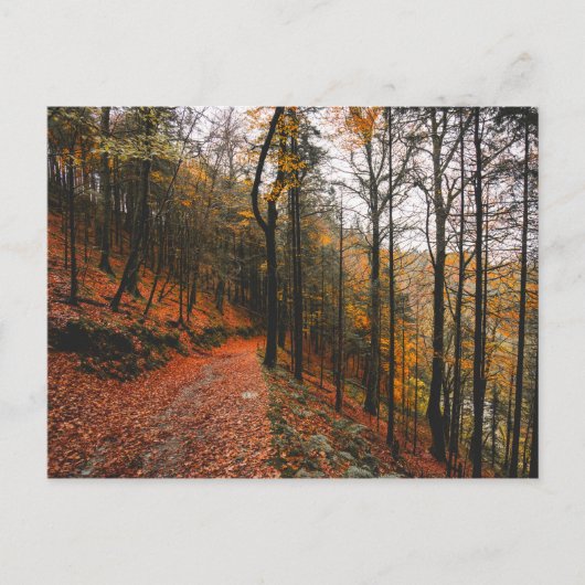 DAS GLEN DES DEVILLS, DIE BERGE DES WICKLOW, IRLAN POSTKARTE (Vorderseite)