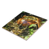 Das Glück der Iren Fliese (Seite)