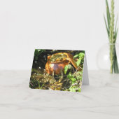 Das Glück der Iren! Karte (Vorderseite)