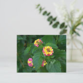 Das Glück von morgen (Blume) Postkarte (Stehend Vorderseite)