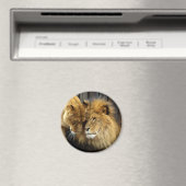 Das glückliche Löwenpaar Magnet (In Situ (Geschirrspüler))