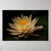 Das Glühen Poster (Vorne)