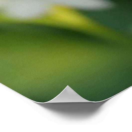 Das Gold der Natur Honig Poster (Ecke)