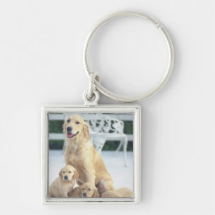 Das golden retriever ist ein verhältnismäßig schlüsselanhänger