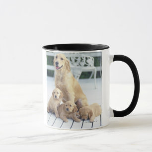 Das golden retriever ist ein verhältnismäßig tasse