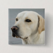 Das goldene Labrador Button (Vorderseite)