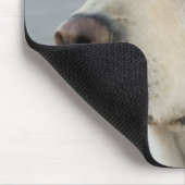 Das goldene Labrador Mousepad (Ecke)