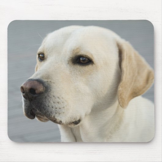 Das goldene Labrador Mousepad (Vorne)