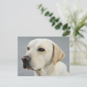 Das goldene Labrador Postkarte (Stehend Vorderseite)