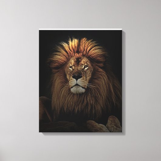 Das goldene, stolze Lion Africa Leinwanddruck (Vorderseite)