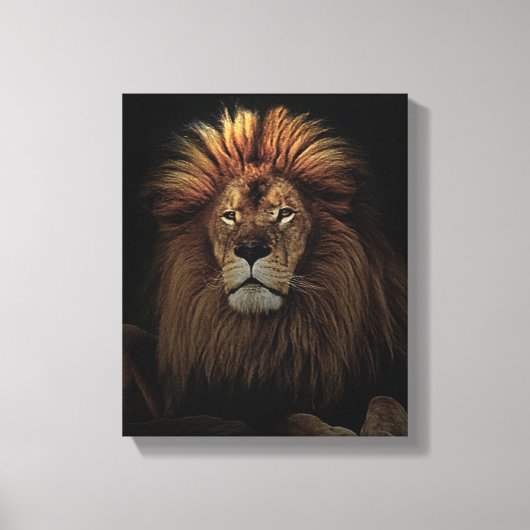 Das goldene, stolze Lion Africa Leinwanddruck (Vorderseite)