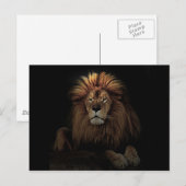 Das goldene, stolze Lion Africa Postkarte (Vorne/Hinten)
