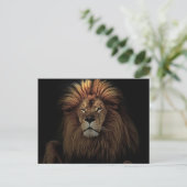 Das goldene, stolze Lion Africa Postkarte (Stehend Vorderseite)