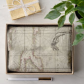 Das Golf von Mexiko Seidenpapier (Geschenk)