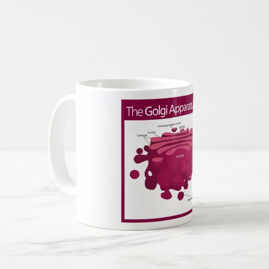 Das Golgi ApparatGolgi Komplex Diagramm Kaffeetasse (Vorderseite Links)
