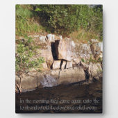 Das Grab Jesu Fotoplatte (Vorderseite)