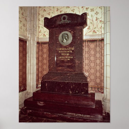 Das Grab von Carl Linnaeus Poster (Vorne)