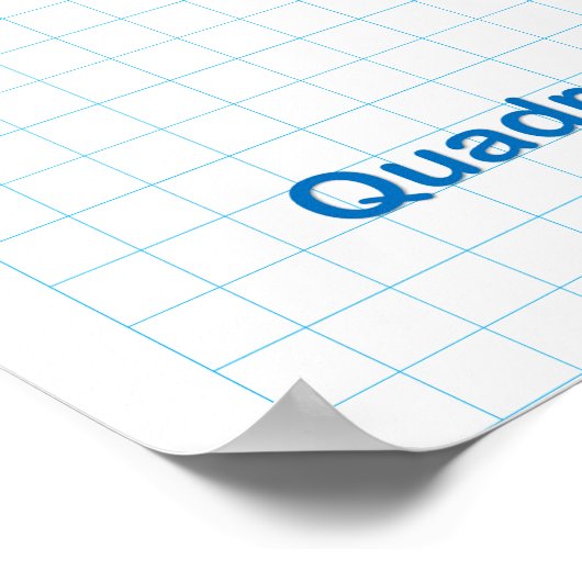 Das Graph Paper des koordinierten Flugzeug Poster (Ecke)