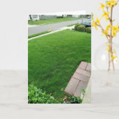 Das Gras ist eine grüne KARTE (Gelbe Blume)