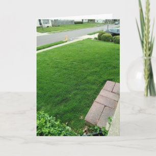 Das Gras ist eine grüne KARTE