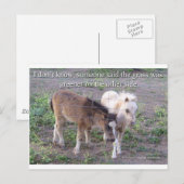 Das Gras ist grüner Postkarte (Vorne/Hinten)