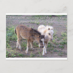 Das Gras ist grüner Postkarte