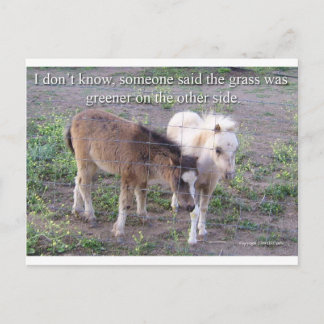 Das Gras ist grüner Postkarte