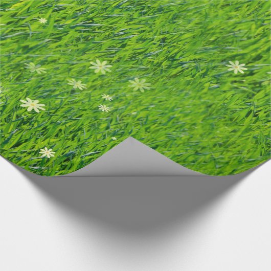 Das Gras ist grüneres Packpapier (Ecke)