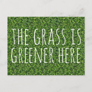 Das Gras ist hier grüner Postkarte
