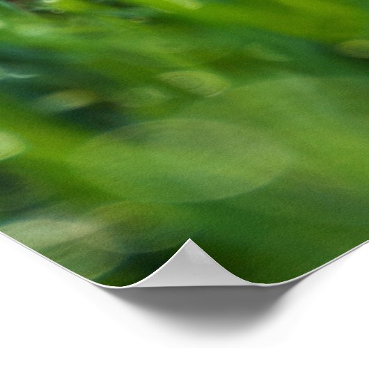 Das Gras ist immer grüner, wo man es gießt Poster (Ecke)