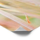 DAS GRASSLAND WURDE VON IHM IN PASTEL-FARBE UMGESE POSTER (Ecke)