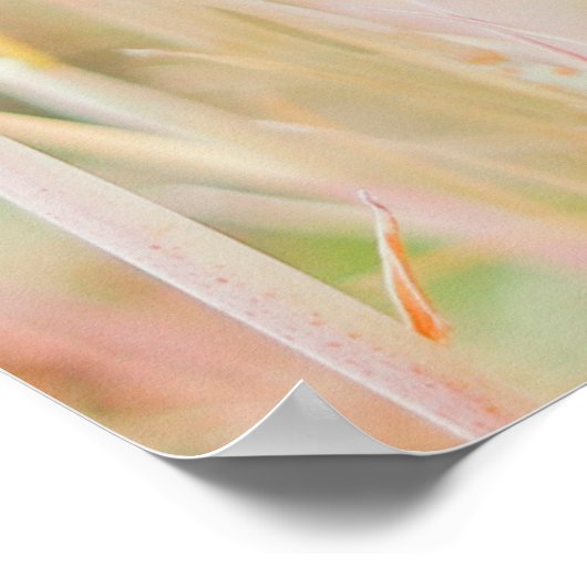 DAS GRASSLAND WURDE VON IHM IN PASTEL-FARBE UMGESE POSTER (Ecke)