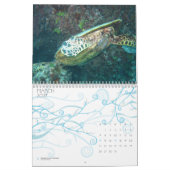 Das Great Barrier Reef, Australien Kalender (Mär 2027)