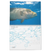 Das Great Barrier Reef, Australien Kalender (Feb 2027)