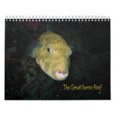 Das Great Barrier Reef, Australien Kalender (Titelbild)