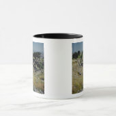 Das griechische Theater Tasse (Zentrum)