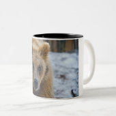 Das Grizz Zweifarbige Tasse (VorderseiteRechts)