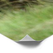 Das Grizzlybären-Poster Poster (Ecke)