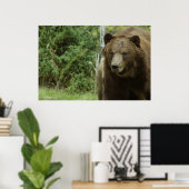 Das Grizzlybären-Poster Poster (Heimbüro)
