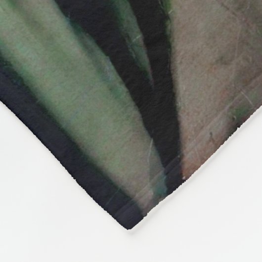 Das große Bather (sitzende Frau), Dominique Ingres Fleecedecke (Ecke)