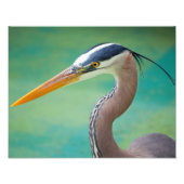 Das große Blau 11 x 14 Fotodruck (Vorne)