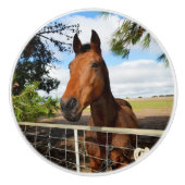 Das große braune Pferd anziehen, Keramikknauf (Vorderseite)