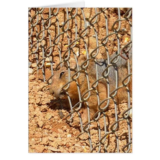 das große Entweichen (Vorne)